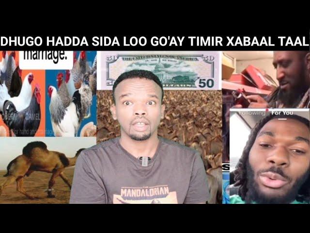 DHUGO SIDA LO GO'AY BIRMINGHAM & LONDON DUMARKII O 10 DIGAAGA LAGU IIBSANAYO, CEEBTA RAGA SOMALIYED