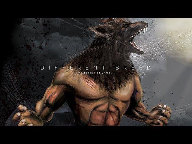 "I Am A Different Breed!" - Gym Motivation - Epic Motivational Speech