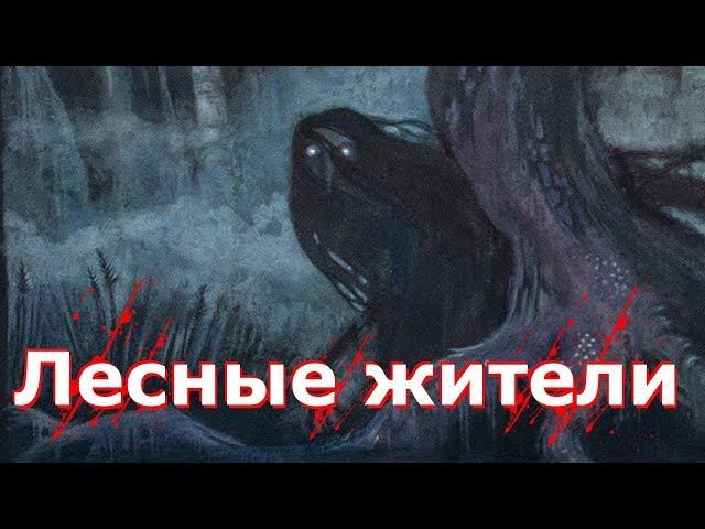 Страшные истории от Лолиты. "Лесные жители". Страшилки на ночь.