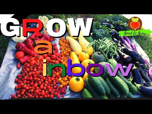 Huge RAINBOW Harvest | 70+ Pound Rainbow Garden Harvest 2021 | Guten Yardening