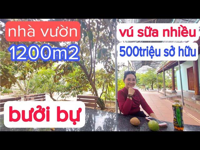 chỉ 500 triệu sở hữu nhà vườn 1200m2 đầy đủ trái cây|bán nhà Bình Chánh giá rẻ 2023| saigonhouse