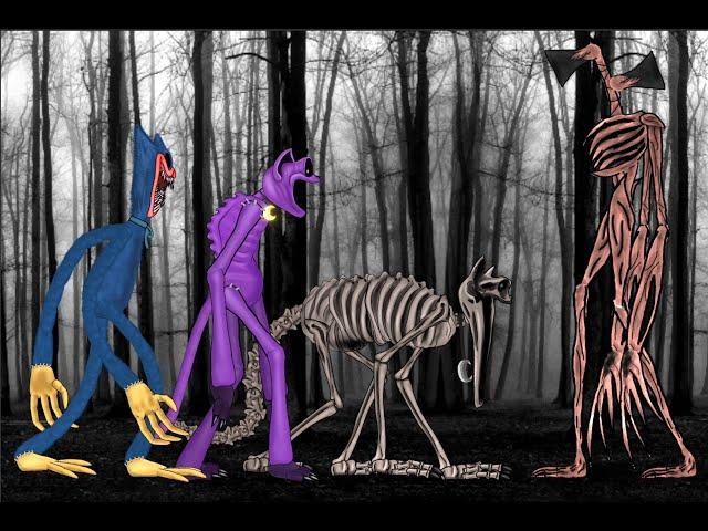 Catnap, Huggy Wuggy Nightmare vs Siren Head. Animation dc2