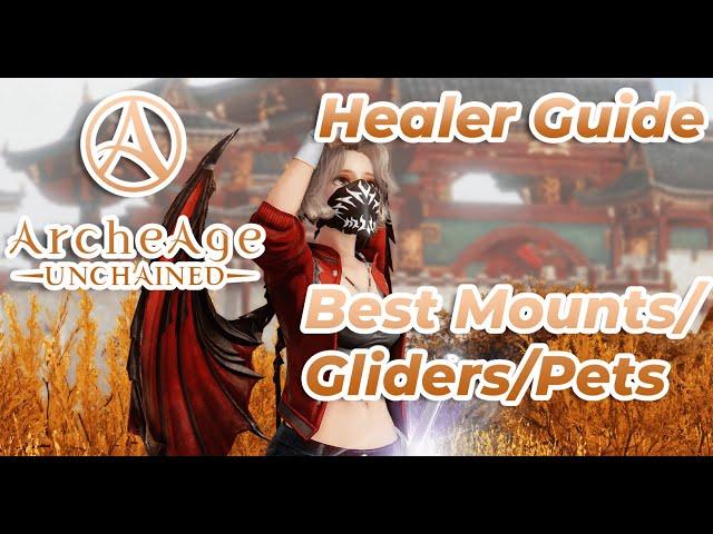 What are the best Gliders/Mounts/Pets to use as a healer │Syraz