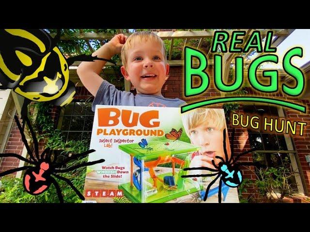 REAL BUGS PLAYGROUND - Bug Hunt for Kids!! Spiders, ROLY POLYS, worms, EARWIGS & More!!