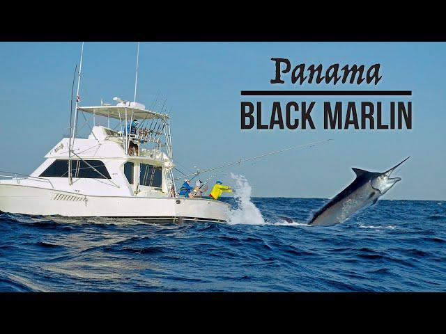 Fishing for Giant Black Marlin | Tropic Star Lodge - Original Film