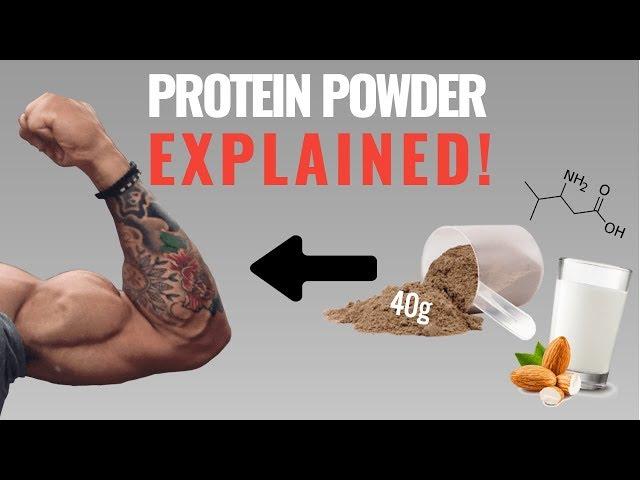 Protein Powder: How to Best Use It For Muscle Growth (4 Things You Need to Know)