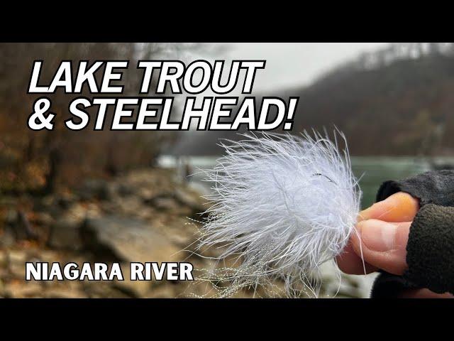 This BAIT made the DIFFERENCE! Lake Trout and Steelhead. [Niagara River]