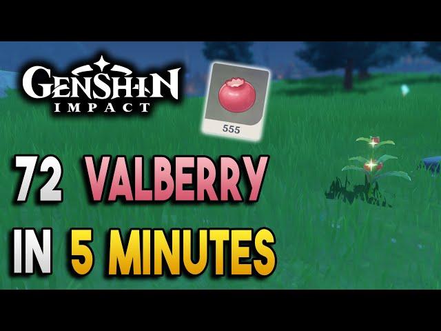 Valberry Locations - Fast and Efficient - Ascension Materials -【Genshin Impact】