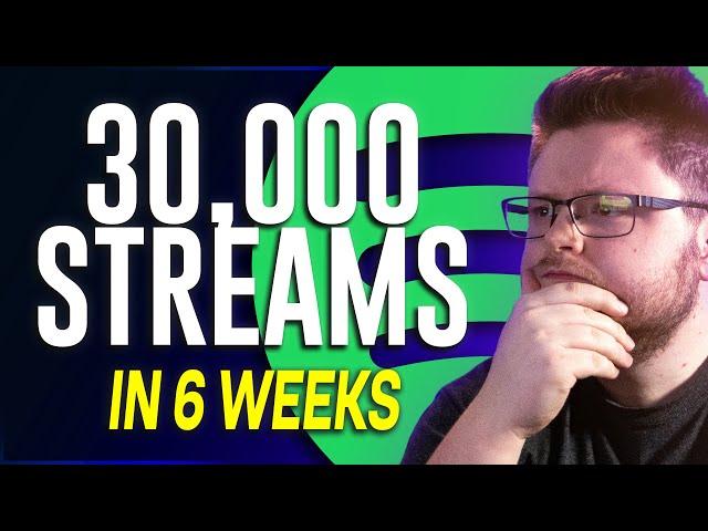 30,000 Spotify Streams in 6 Weeks | Facebook Ads for Music Artists