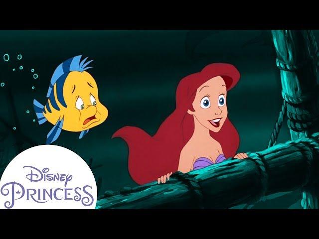 Ariel and the Sunken Ship | The Little Mermaid | Disney Princess