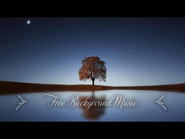 # 1 Hour Upbeat Background Music Best MBB Music Collection Free Download