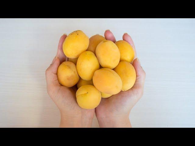 They took apricots and made a beautiful bouquet at home // Bouquet of apricots with their own hands