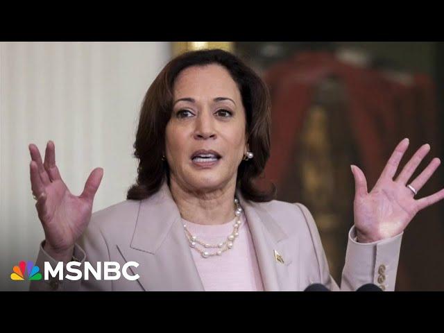 ‘MAGA world in MEGA-meltdown mode’: Republicans resort to ugly attacks against VP Kamala Harris