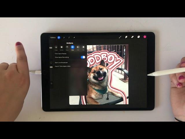 Procreate Tutorial: Timelapse Replay