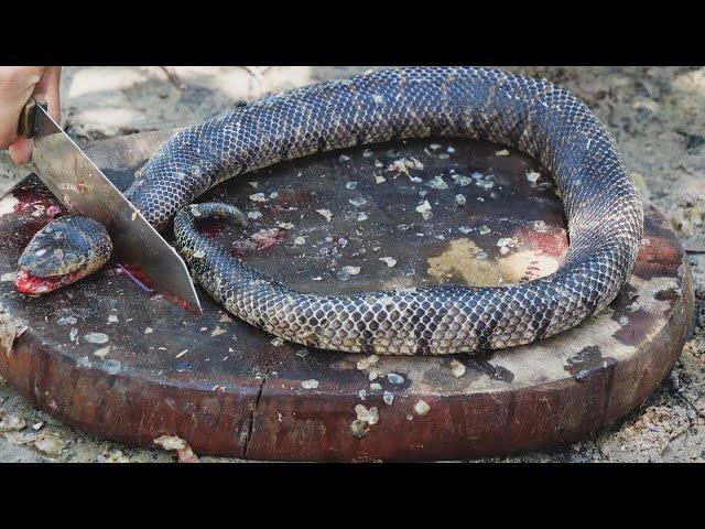 Giant Snake Soup - Delicious Big Python Boil For Food - Wilderness Food