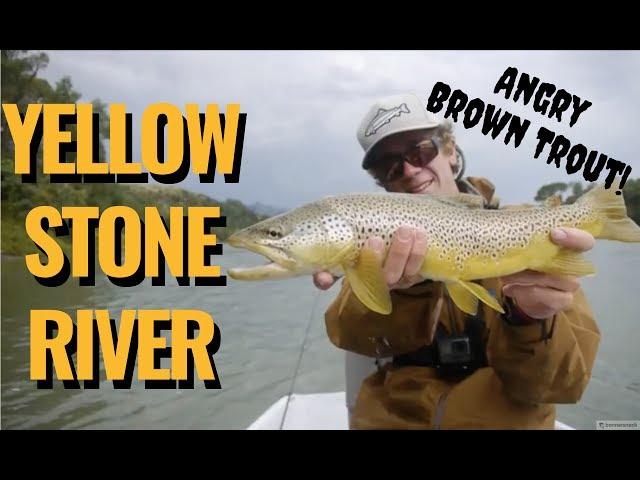 Floating the Yellowstone: Dry Flies & Streamers