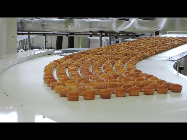 Автоматическая линия упаковки кексов MUFFIN PACKAGING LINE