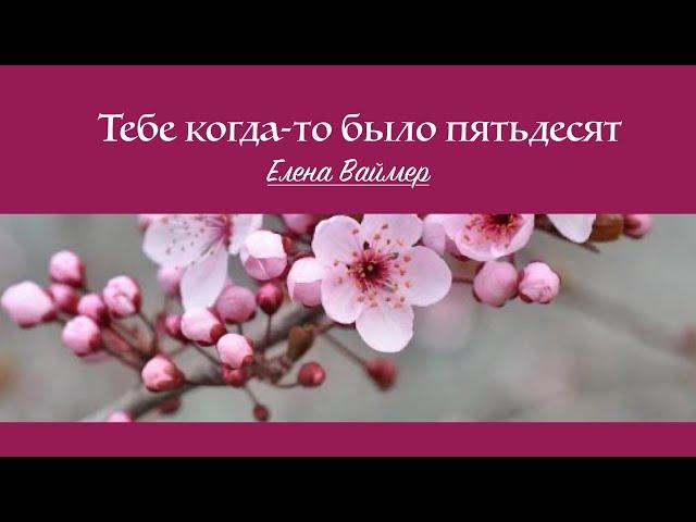 Тебе когда то было пятьдесят. Елена Ваймер