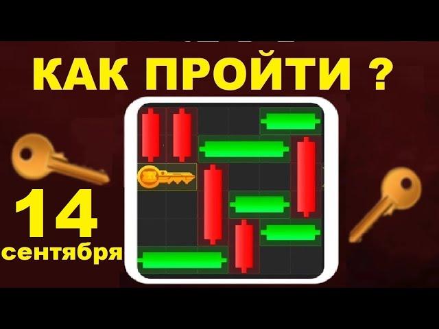 Как пройти Мини-игру в Hamster Kombat 14 сентября? Получаем ключ в Хамстер Комбат