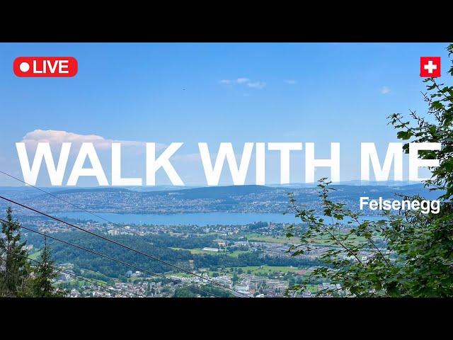 Relaxing Virtual Walk in a Swiss Forest ️ Zurich, Switzerland