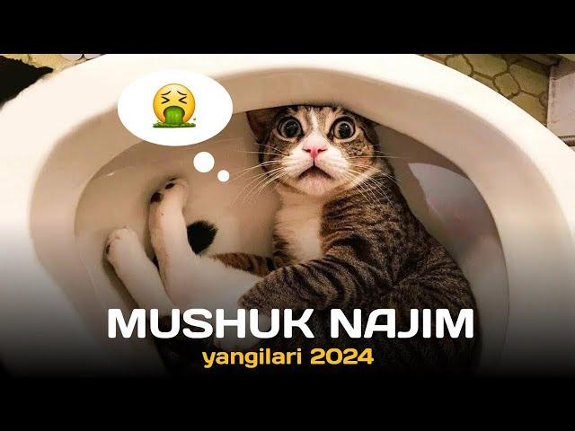 MUSHUK NAJIM 2024 | NAJIM PISHAK QAYTDIMI