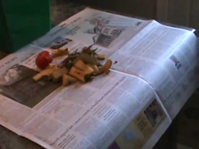 Wrap Food Scraps in Newspaper