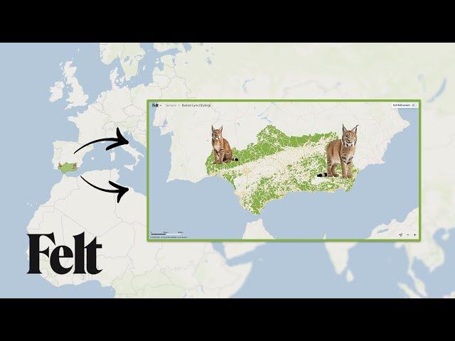 How to do Zoom-Based Styling (Advanced Map Design Technique!)