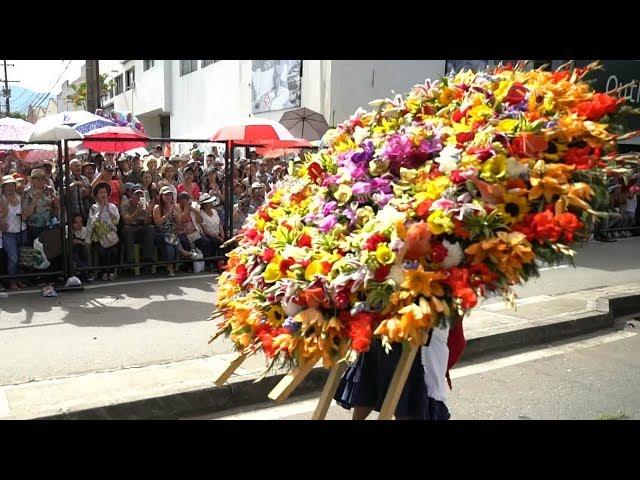 Perennial Colombian flower festival blooming for 60th year