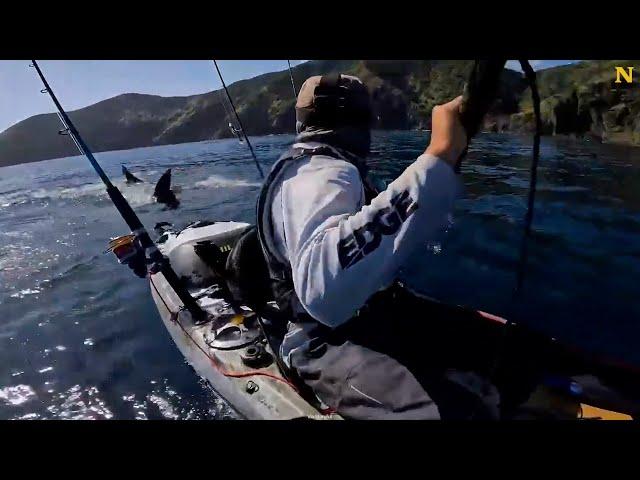 Kayaker Attacked by Great White Shark 