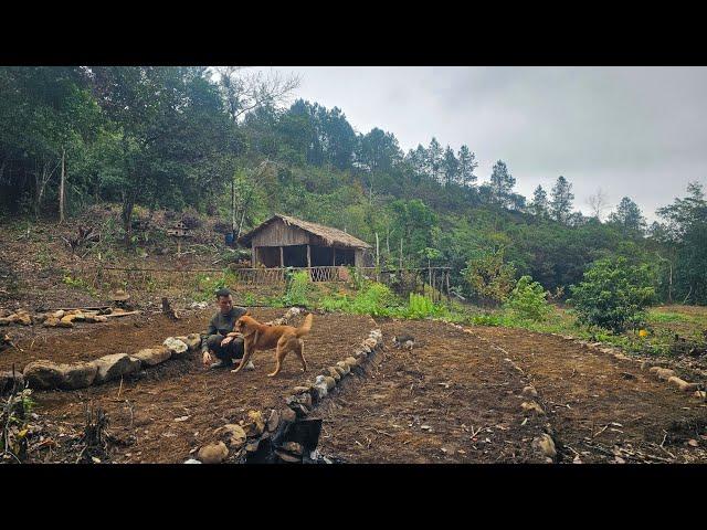 #4 Transforming the Wild Forest into a Dream Farm – Build terraced vegetable fields, Livestock...