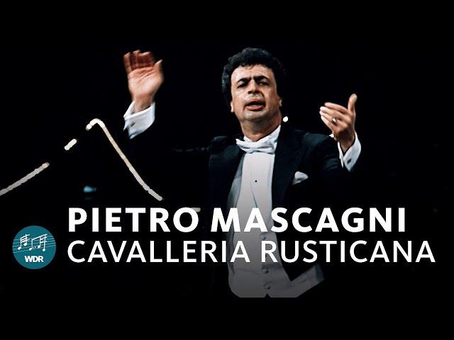 Mascagni - Intermezzo Sinfonico (Cavalleria rusticana) | Semyon Bychkov | WDR Symphony Orchestra