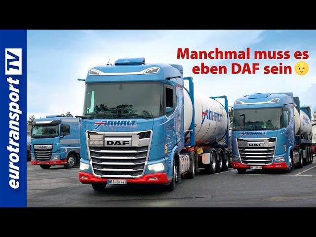 Warum Anhalt Logistics voll auf DAF setzt