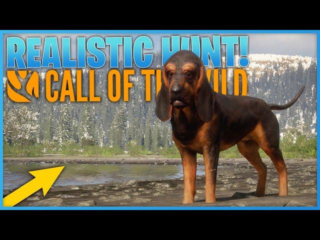 Realistic Hunt With a Bloodhound In Call Of The Wild!