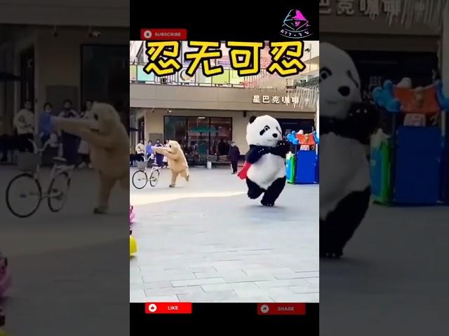 cute panda  funny bear  | funny video | comedy video | cartoon #viral #trending #shorts #funny