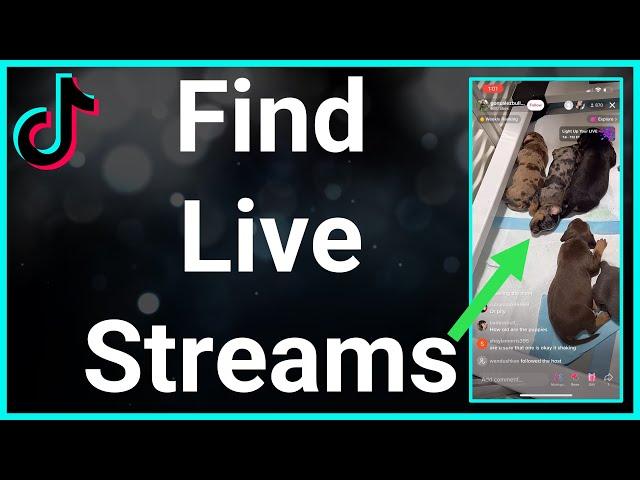 How To Find And Watch TikTok Live Streams