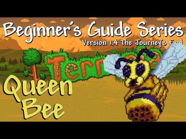 The Queen Bee - All Difficulties (Terraria 1.4 Beginner's Guide Series)