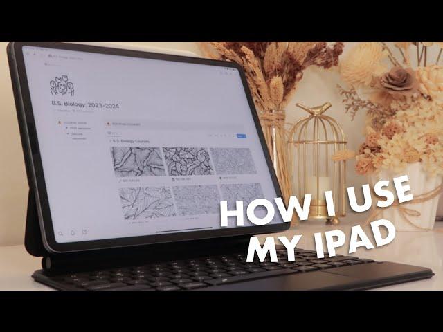 how i use my ipad as a student  note-taking, productivity, flashcards, second display, and more!