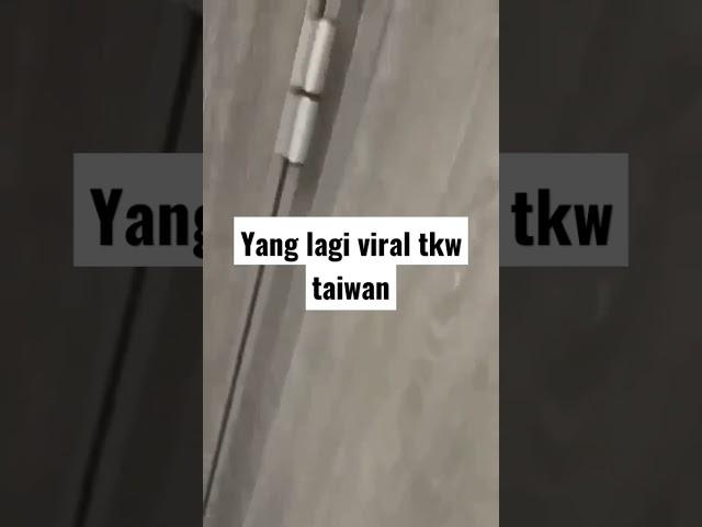 TKW TAIWAN VIRAL#shorts #tkwtaiwan