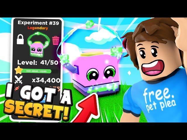 I Hatched The *NEW* SECRET PET EXPERIMENT #39 In Pet Battle Simulator (Roblox)