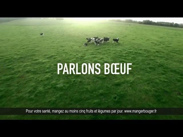 McDonald's "Parlons bien parlons boeuf" - Publicité courte 0:14