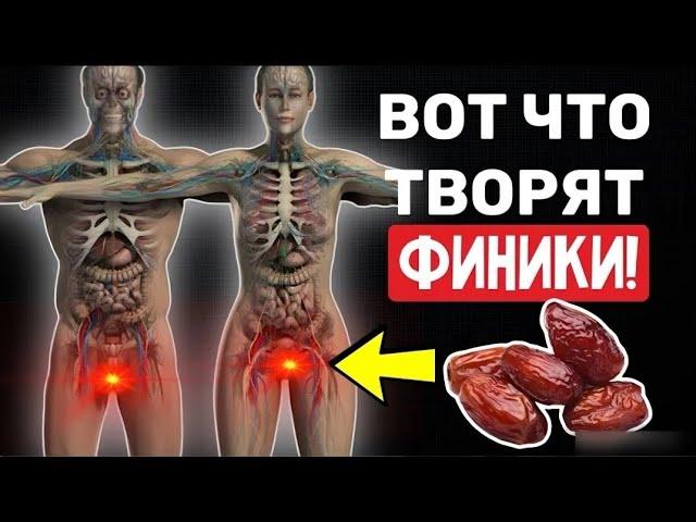 Всего ТРИ ФИНИКА В ДЕНЬ запустят необратимые процессы в вашем организме. ФИНИКИ польза или вред?