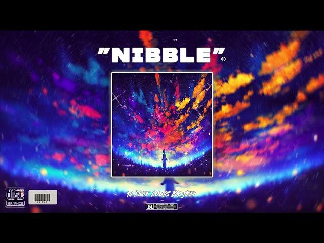 *FREE* Guitar Loop Kit / Sample Pack  "Nibble"