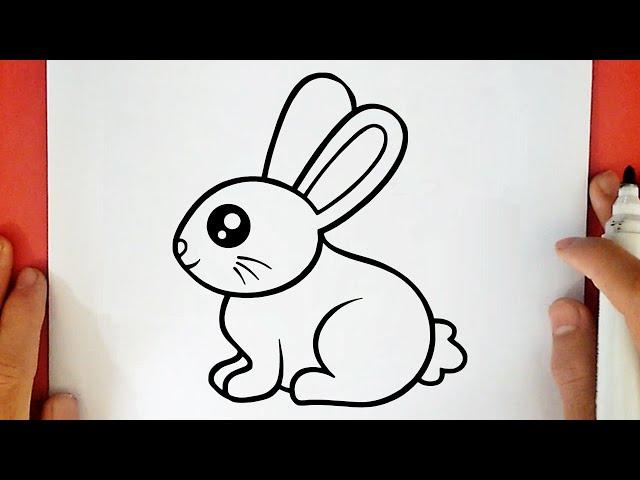 HOW TO DRAW A CUTE BUNNY