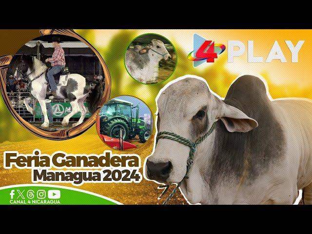   Todo lo que puedes encontrar en la Feria Ganadera Managua 2024  