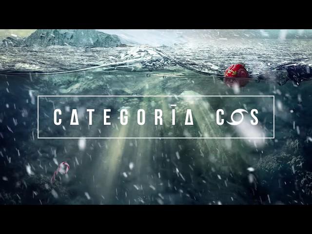 Cosculluela - Categoria COS (Audio Oficial)