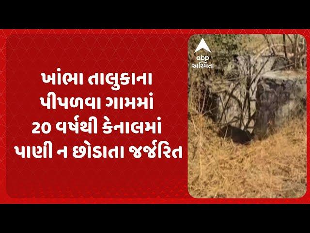 Amreli News | અમરેલીના ખાંભા તાલુકાના પીપળવા ગામમાં 20 વર્ષથી કેનાલમાં પાણી ન છોડાતા જર્જરિત