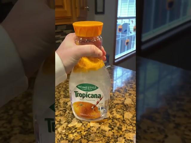 Orange Juice Cheese Prank