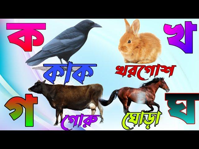 ক খ গ ঘ ঙ চ ছ জ ঝ ঞ ট ঠ ড ঢ ণ ত থ দ ধ ন প ফ ব ভ ম য র ল ব শ ষ স হ ড় ঢ় য় ৎ ং ঃ ঁ ! ব্যাঞ্জনবর্ণ