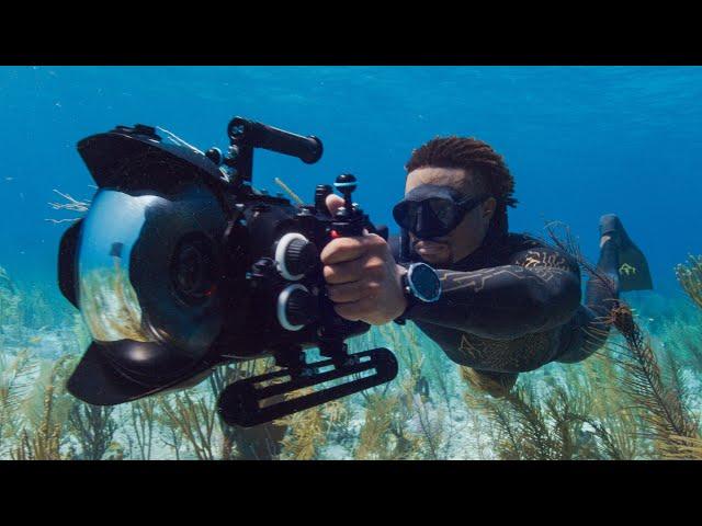 Freediving Underwater Cameraman ft. André Musgrove