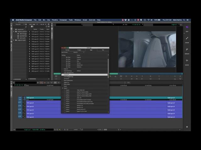 Avid tutorial: Settings and customization